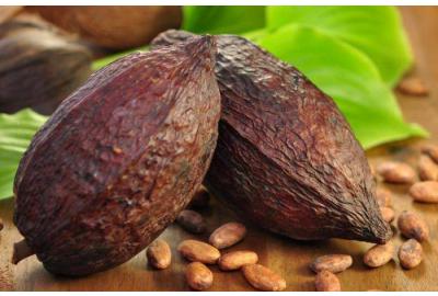 Vitamine e proprietà benefiche del cacao